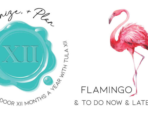 Create, Organize, & Plan – Flamingo